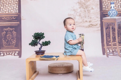 高密可爱的企鹅宝宝